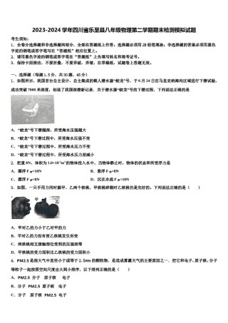 2023-2024学年四川省乐至县八年级物理第二学期期末检测模拟试题含解析.doc