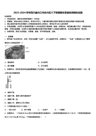 2023-2024学年四川省内江市东兴区八下物理期末质量检测模拟试题含解析.doc