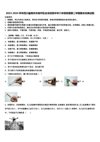 2023-2024学年四川省南充市高坪区会龙初级中学八年级物理第二学期期末经典试题含解析.doc