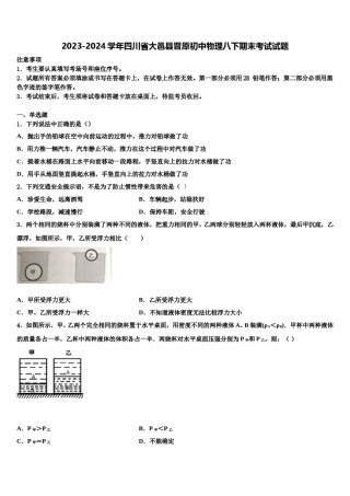2023-2024学年四川省大邑县晋原初中物理八下期末考试试题含解析.doc