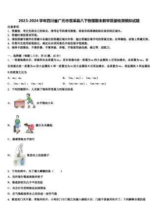 2023-2024学年四川省广元市苍溪县八下物理期末教学质量检测模拟试题含解析.doc