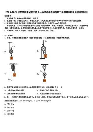 2023-2024学年四川省成都市师大一中学八年级物理第二学期期末教学质量检测试题含解析.doc