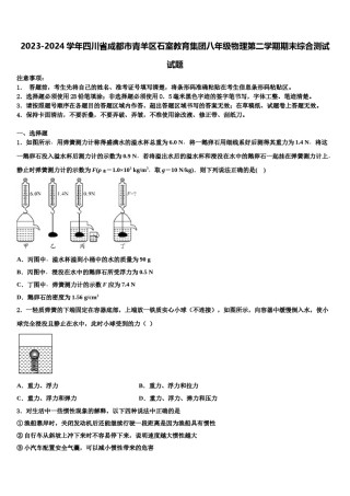 2023-2024学年四川省成都市青羊区石室教育集团八年级物理第二学期期末综合测试试题含解析.doc