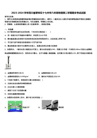 2023-2024学年四川省攀枝花十七中学八年级物理第二学期期末考试试题含解析.doc