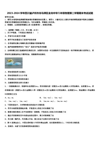 2023-2024学年四川省泸州市龙马潭区金龙中学八年级物理第二学期期末考试试题含解析.doc