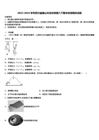 2023-2024学年四川省眉山市名校物理八下期末检测模拟试题含解析.doc