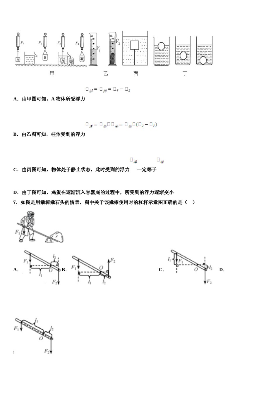 2023-2024学年四川省眉山市名校物理八下期末监测试题含解析.doc_第2页