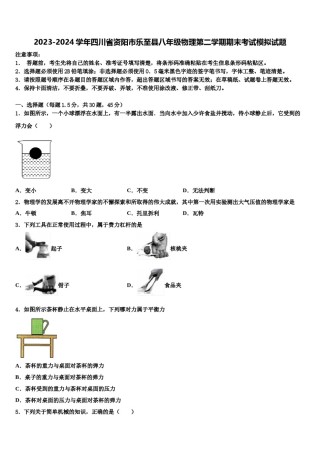 2023-2024学年四川省资阳市乐至县八年级物理第二学期期末考试模拟试题含解析.doc