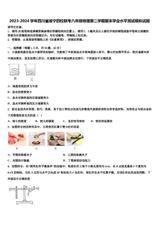 2023-2024学年四川省遂宁四校联考八年级物理第二学期期末学业水平测试模拟试题含解析.doc