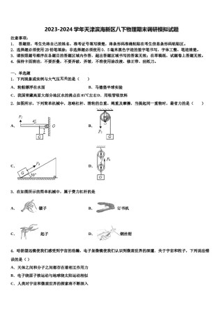 2023-2024学年天津滨海新区八下物理期末调研模拟试题含解析.doc