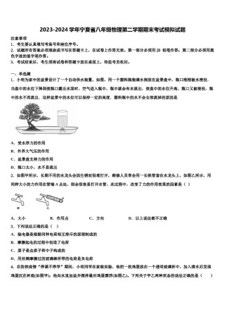 2023-2024学年宁夏省八年级物理第二学期期末考试模拟试题含解析.doc