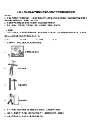 2023-2024学年宁夏银川市第九中学八下物理期末监测试题含解析.doc