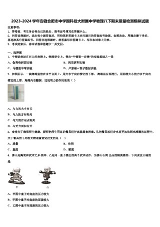 2023-2024学年安徽合肥市中学国科技大附属中学物理八下期末质量检测模拟试题含解析.doc