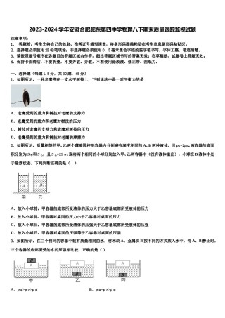 2023-2024学年安徽合肥肥东第四中学物理八下期末质量跟踪监视试题含解析.doc