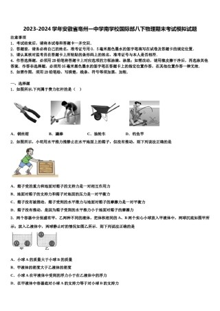 2023-2024学年安徽省亳州一中学南学校国际部八下物理期末考试模拟试题含解析.doc