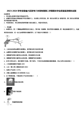 2023-2024学年安徽省六区联考八年级物理第二学期期末学业质量监测模拟试题含解析.doc