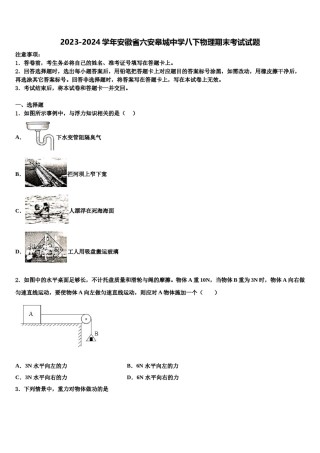 2023-2024学年安徽省六安皋城中学八下物理期末考试试题含解析.doc