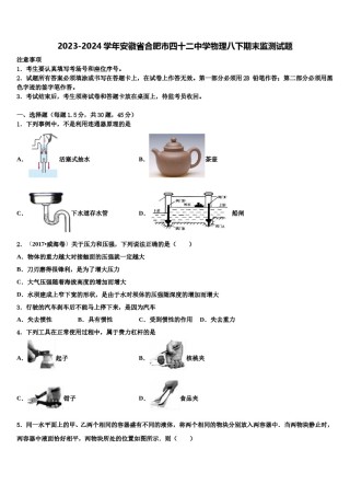 2023-2024学年安徽省合肥市四十二中学物理八下期末监测试题含解析.doc