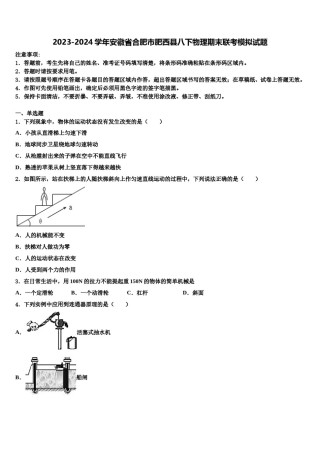 2023-2024学年安徽省合肥市肥西县八下物理期末联考模拟试题含解析.doc