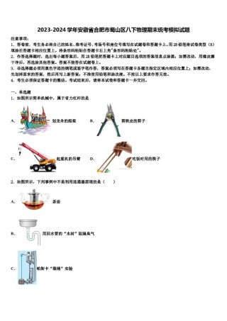 2023-2024学年安徽省合肥市蜀山区八下物理期末统考模拟试题含解析.doc