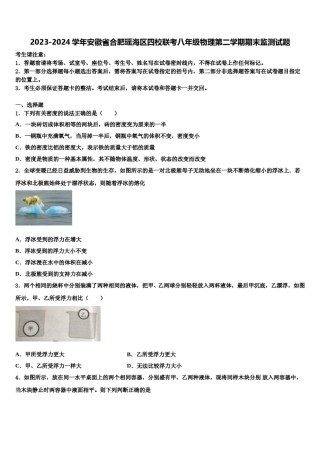 2023-2024学年安徽省合肥瑶海区四校联考八年级物理第二学期期末监测试题含解析.doc