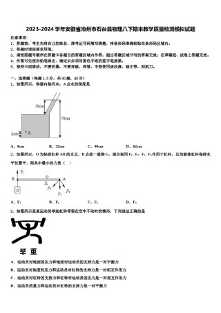 2023-2024学年安徽省池州市石台县物理八下期末教学质量检测模拟试题含解析.doc