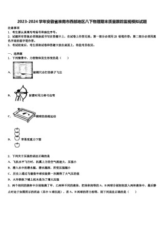 2023-2024学年安徽省淮南市西部地区八下物理期末质量跟踪监视模拟试题含解析.doc