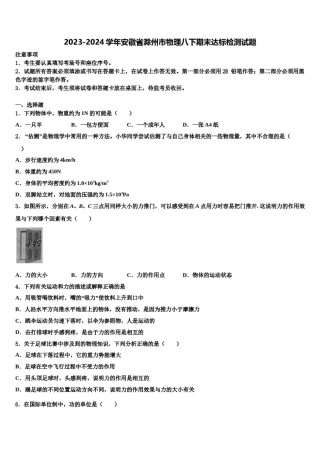 2023-2024学年安徽省滁州市物理八下期末达标检测试题含解析.doc