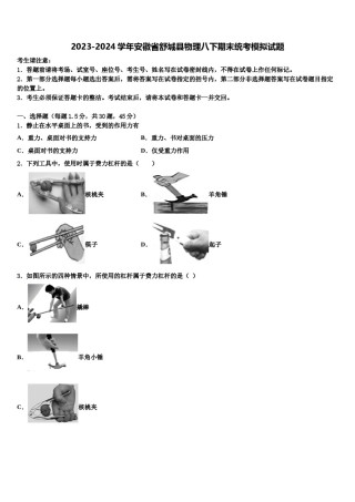 2023-2024学年安徽省舒城县物理八下期末统考模拟试题含解析.doc