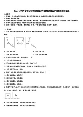 2023-2024学年安徽省蒙城县八年级物理第二学期期末检测试题含解析.doc