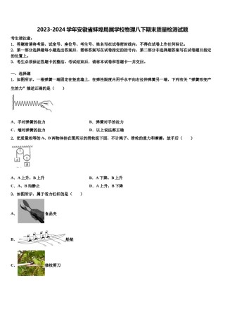 2023-2024学年安徽省蚌埠局属学校物理八下期末质量检测试题含解析.doc