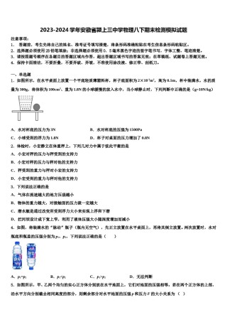 2023-2024学年安徽省颍上三中学物理八下期末检测模拟试题含解析.doc