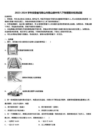 2023-2024学年安徽省马鞍山市雨山建中学八下物理期末检测试题含解析.doc