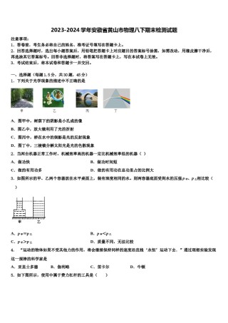 2023-2024学年安徽省黄山市物理八下期末检测试题含解析.doc