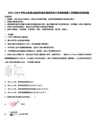 2023-2024学年山东南山集团东海外国语学校八年级物理第二学期期末检测试题含解析.doc