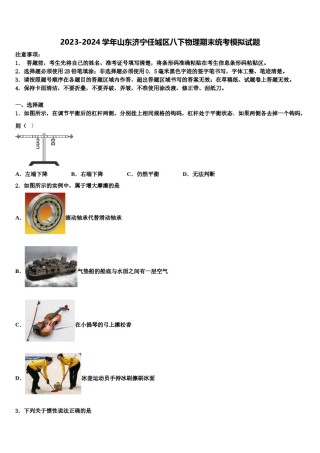 2023-2024学年山东济宁任城区八下物理期末统考模拟试题含解析.doc