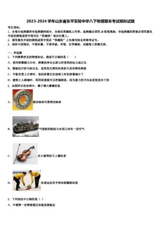 2023-2024学年山东省东平实验中学八下物理期末考试模拟试题含解析.doc