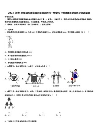 2023-2024学年山东省东营市东营区胜利一中学八下物理期末学业水平测试试题含解析.doc