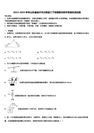 2023-2024学年山东省临沂市兰陵县八下物理期末教学质量检测试题含解析.doc