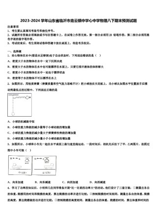 2023-2024学年山东省临沂市青云镇中学心中学物理八下期末预测试题含解析.doc
