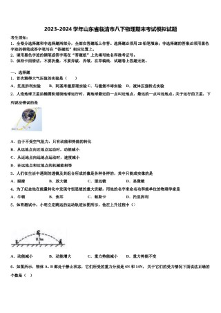 2023-2024学年山东省临清市八下物理期末考试模拟试题含解析.doc
