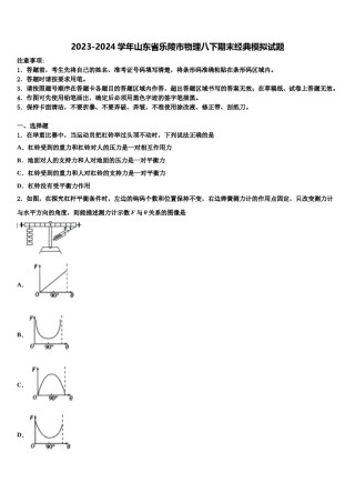 2023-2024学年山东省乐陵市物理八下期末经典模拟试题含解析.doc