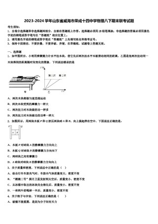 2023-2024学年山东省威海市荣成十四中学物理八下期末联考试题含解析.doc