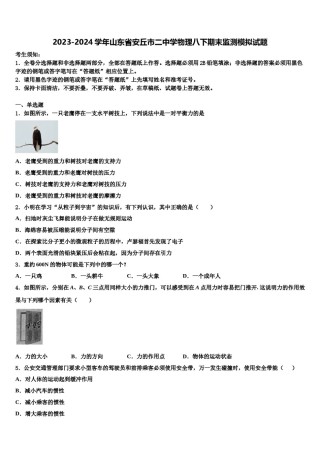 2023-2024学年山东省安丘市二中学物理八下期末监测模拟试题含解析.doc