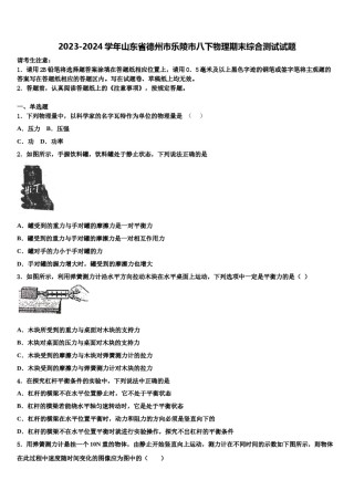 2023-2024学年山东省德州市乐陵市八下物理期末综合测试试题含解析.doc