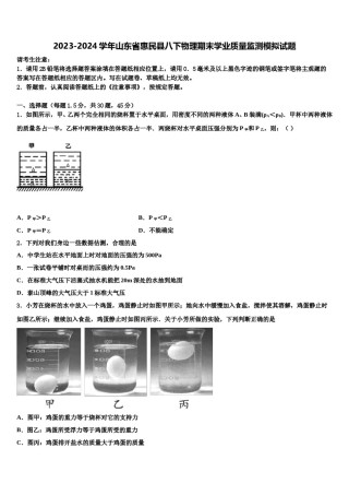 2023-2024学年山东省惠民县八下物理期末学业质量监测模拟试题含解析.doc