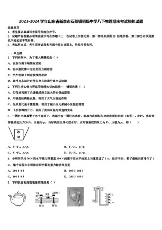 2023-2024学年山东省新泰市石莱镇初级中学八下物理期末考试模拟试题含解析.doc