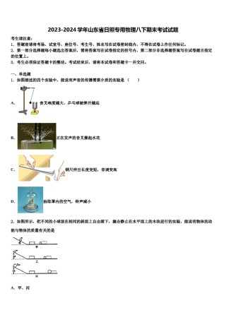 2023-2024学年山东省日照专用物理八下期末考试试题含解析.doc