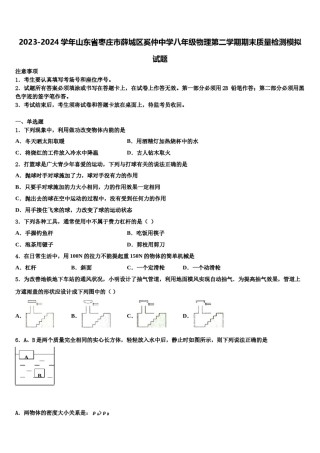 2023-2024学年山东省枣庄市薛城区奚仲中学八年级物理第二学期期末质量检测模拟试题含解析.doc