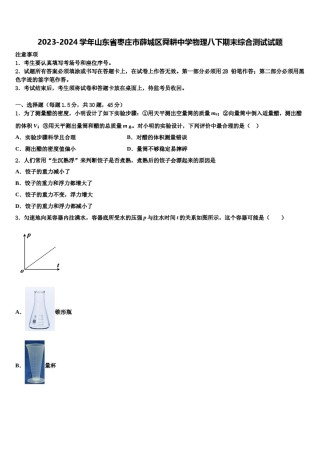 2023-2024学年山东省枣庄市薛城区舜耕中学物理八下期末综合测试试题含解析.doc